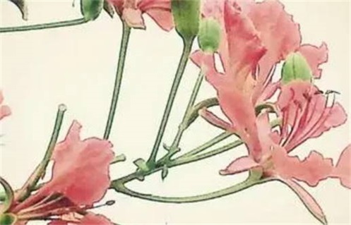 2025年07月24日(农历六月三十)动土合不合适？ 今日动土修造适合吗？