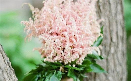 2025年07月22日(农历六月廿八)这日子结婚算黄道吉日不？ 办喜事黄道吉日查询