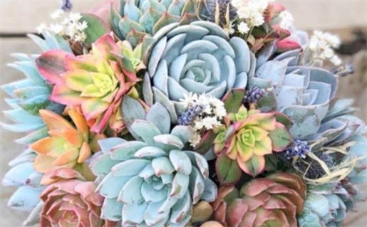 2025年08月25日(农历七月初三)领证避凶了没？ 今日登记领证吉利吗？