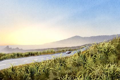 2025年08月06日(农历闰六月十三)提车行吗？ 今日买新车好吗