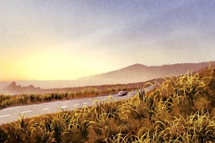 2025年08月06日(农历闰六月十三)提车能算好日子吗 今天买新车怎么样？