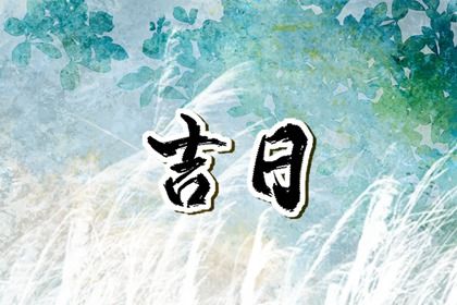 2025年04月29日(农历四月初二)提车是良辰吉时吗？ 提车买车吉日宜忌