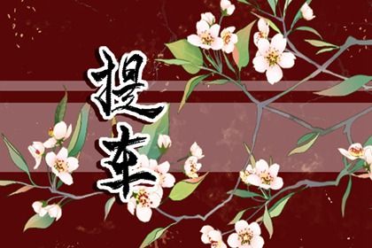 2025年08月06日提车合不合适? 今日买新车适合吗?