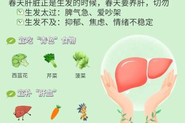 二月养生小贴士:春季养肝防病的健康食谱 二月养生小贴士:春季养肝防病的健康食谱