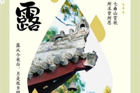 ——传统养生文化中的“白露节气”与秋季保健之道