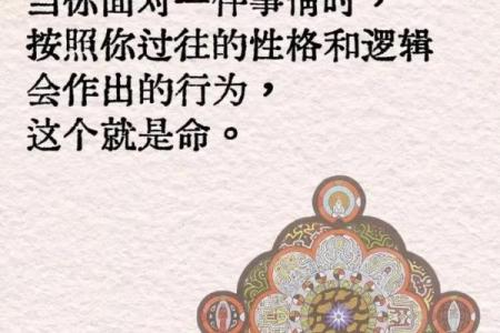 段氏命理：如何破解你的命运密码，找到人生转折点