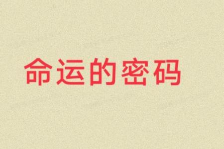 杨澜八字命理中的神秘力量:如何利用命运密码实现自我突破