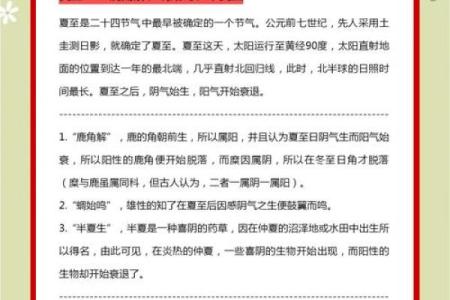 夏至假期如何借天文现象调整作息与健康