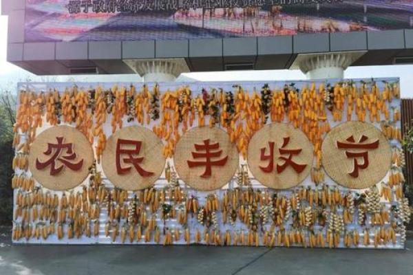 法国传统丰收节：庆祝农业丰收与社区团结