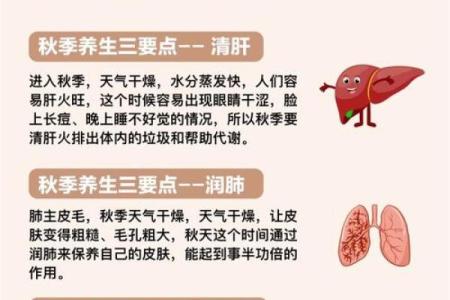 十月节庆与养生：秋季调养的传统智慧