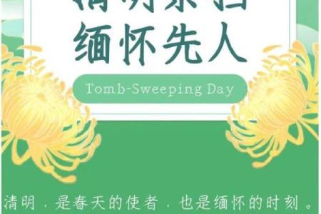 清明节的传统习俗与工作压力管理之道
