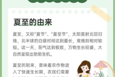 夏至节气：如何通过养生食谱应对炎热夏季
