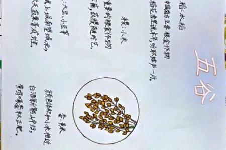 秋收节与农耕文化的深厚联系