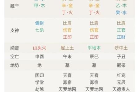 解析生辰八字与五行对照,命运不同的关键因素是什么?