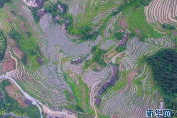 探索韩国农耕节日与四季变换的联系 探索韩国农耕节日与四季变换的联系