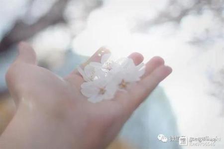 大S命理分析：颠覆常规的命运密码，如何让命运为你所用？