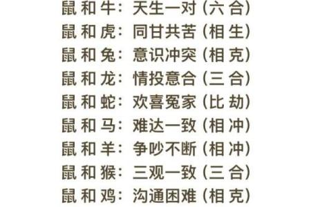 解析生辰八字合婚看什么？让你找到合适的另一半