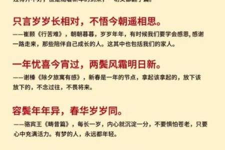 春节诗意：岁月与时光交织的辞旧迎新