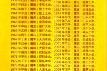 揭秘生辰八字如何影响职业选择，能改运吗？