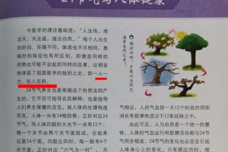 日大全：养生与节气相融合的健康生活方式