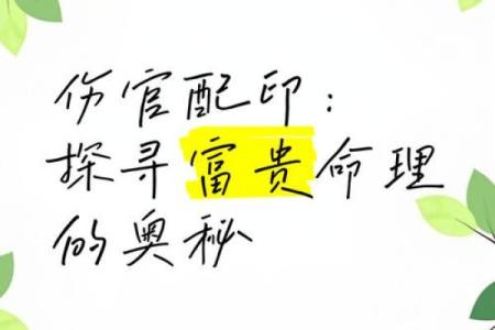 伤官命理中的深层玄机：你必须知道的命运转折点