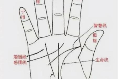 探索命运密码：风水命理如何揭开人生的暗藏玄机