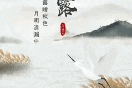 天文与水节：古人如何通过水节追寻星辰的轨迹