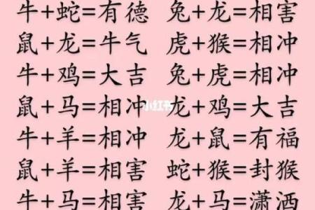 属猪生辰八字合婚看什么？解析婚姻中的八字匹配