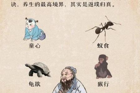 反而能改变命运：用八字找到属于你的成功之道