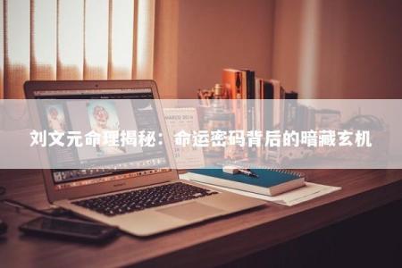 刘文元命理揭秘：命运密码背后的暗藏玄机