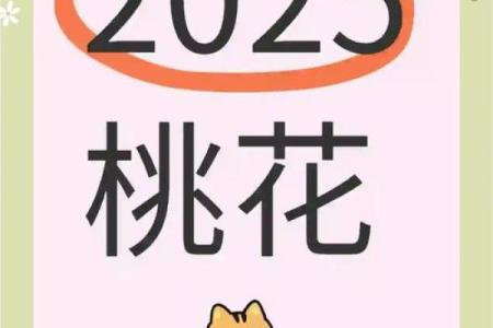 解析生辰八字桃花运，命运不同如何化解？