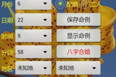 深度解析生辰八字纳音，合婚看哪些因素？命运差异能否改变