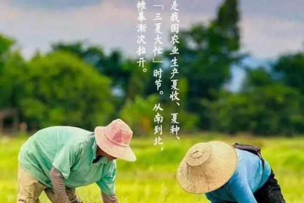 七月十四，传承千年的农业文化与节令