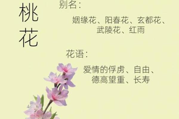 桃花节如何影响中国传统文化与民俗传承