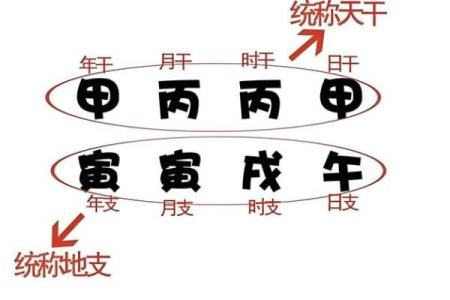 命理误区大揭秘：你是否误解了命理相克的真正含义？