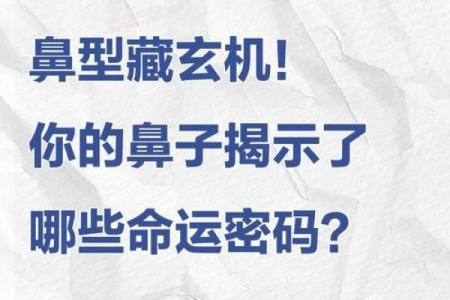 林心如八字背后隐藏的命运密码,如何通过它改变命运