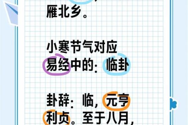 节气：小寒背后的农耕智慧