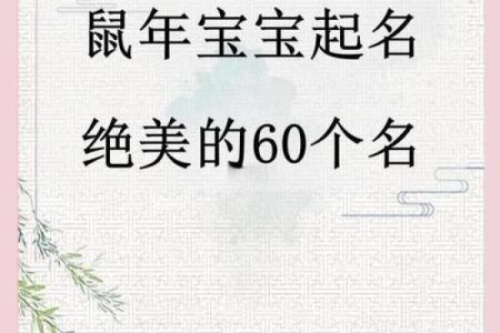 揭秘鼠年男宝宝取名字大全：生辰八字能改运吗？命运不同如何选择？