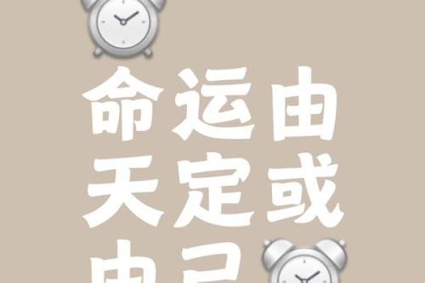 你信命运吗？手机命理数教你如何打破宿命