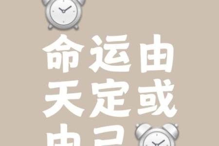 你信命运吗？手机命理数教你如何打破宿命