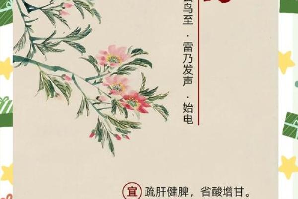 春分节气：平衡阴阳，养生调养的最佳时机