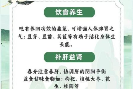 春分节气：平衡阴阳，养生调养的最佳时机