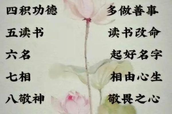 何字命理如何揭开命运密码?改变命运不必那么复杂 何字命理如何揭开命运密码?改变命运不必那么复杂