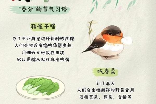 春分时节：如何利用农耕智慧提升现代生活质量