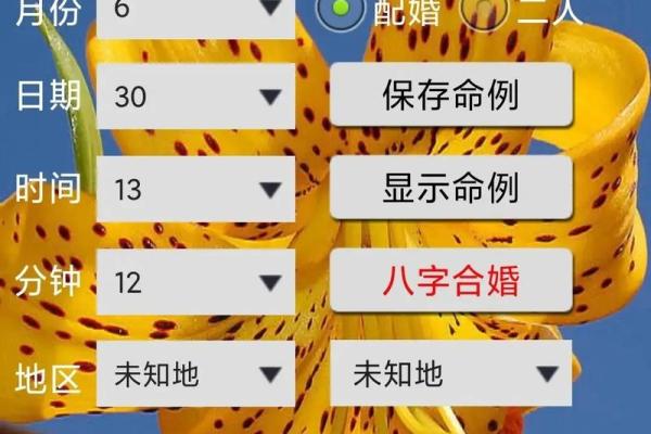 生辰八字解析:能否改变命运?合婚时需要看哪些关键因素? 生辰八字解析:能否改变命运?合婚时需要看哪些关键因素?