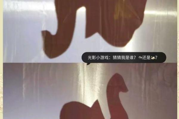 日的天文现象:夏至日最长白昼的背后故事 日的天文现象:夏至日最长白昼的背后故事