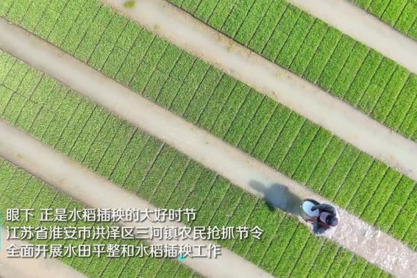 圣诞节背后的农耕与节令文化