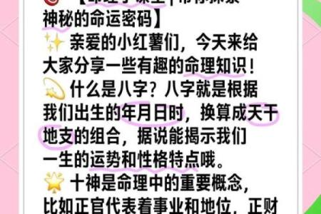 解密命运密码:如何通过八字打破命运桎梏,逆袭人生