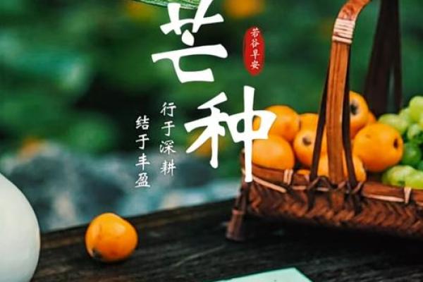 五月三日：农耕节气与生长的秘密