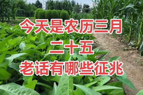 五月三日：农耕节气与生长的秘密